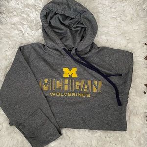 champion michigan sweatshirt hoodie